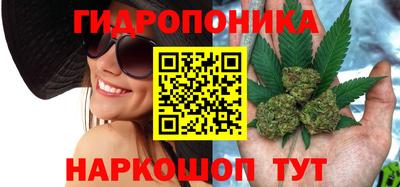 кокс Бузулук