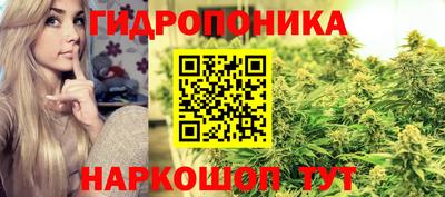 мяу мяу мука Будённовск