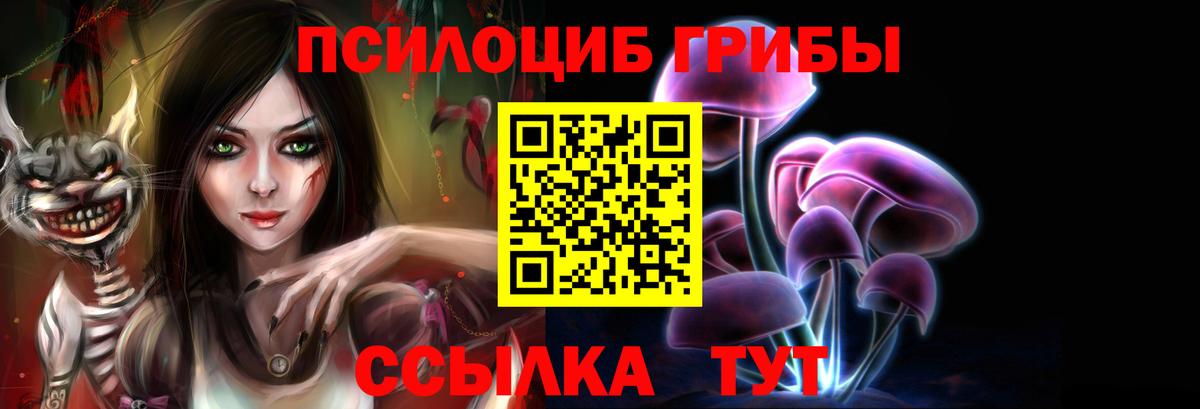 Псилоцибиновые грибы мицелий Кушва